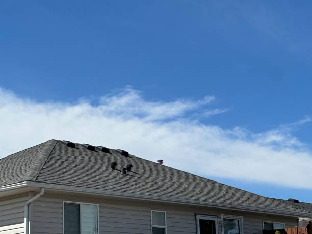 Best Asphalt Shingle Roofing  in Mount Angel, OR